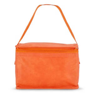 R-PET 6 Sac isotherme non tissé 20x 13 x 12.5cm 75g/m² 38