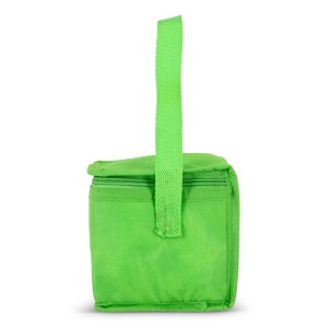 R-PET 6 Sac isotherme non tissé 20x 13 x 12.5cm 75g/m² 43