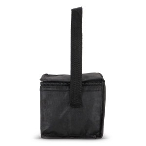 R-PET 6 Sac isotherme non tissé 20x 13 x 12.5cm 75g/m² 14