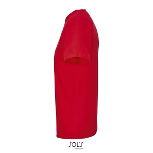 Tee-shirt col v - REGENT V 31