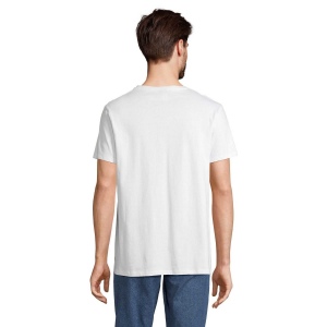 Tee-shirt col v - REGENT V 34