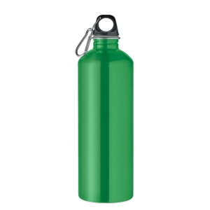 Bouteille à simple paroi 1L - RE-ONE MOSS 16