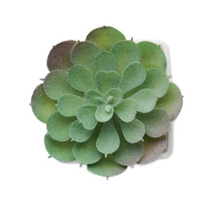 Mini plante artificielle - ARTIECHE 4