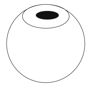 Enceinte sans fil SATELLITE 8