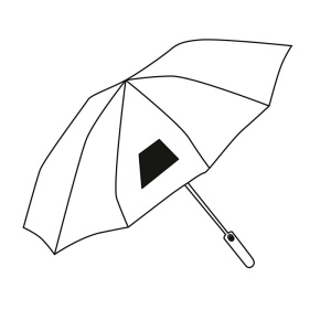 Parapluie automatique BLIZZARD 27