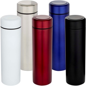 Gourde Taylor en acier inoxydable à double paroi de 450 ml avec filtre à thé 22