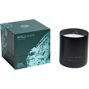 Bougie parfumée Wellmark 17