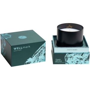 Bougie parfumée Wellmark 20