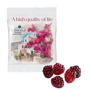 Gommes de fruits 80 % moins de sucre VEGAN, sachet compostable