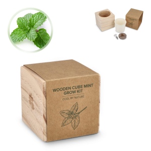 Ensemble de jardinières en bois FSC – Menthe