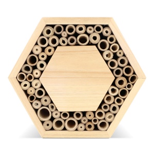 Ruche en bois FSC hexagonal 3