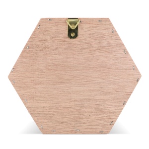 Ruche en bois FSC hexagonal 5
