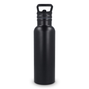 Bouteille isotherme Dario 500 ml 17