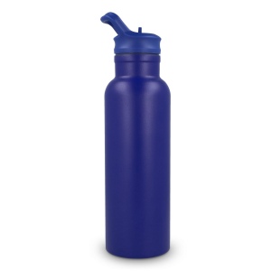 Bouteille isotherme Dario 500 ml 20