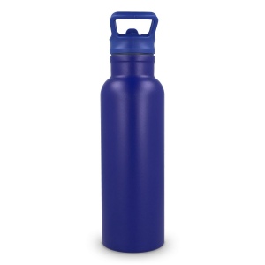 Bouteille isotherme Dario 500 ml 22