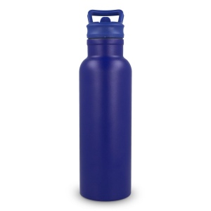 Bouteille isotherme Dario 500 ml 24