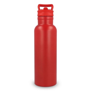 Bouteille isotherme Dario 500 ml 25