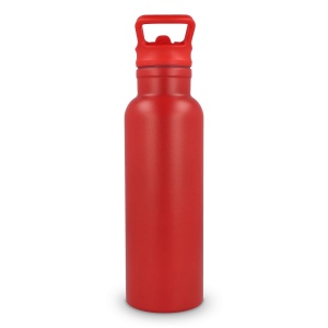 Bouteille isotherme Dario 500 ml 26