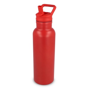 Bouteille isotherme Dario 500 ml 28