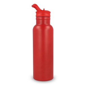 Bouteille isotherme Dario 500 ml 29