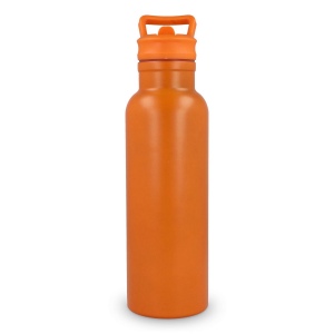 Bouteille isotherme Dario 500 ml 34