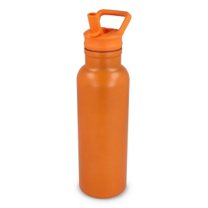 Bouteille isotherme Dario 500 ml 35