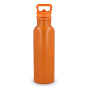 Bouteille isotherme Dario 500 ml 36