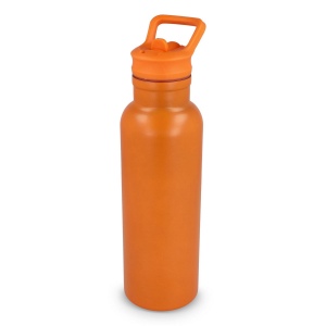 Bouteille isotherme Dario 500 ml 6