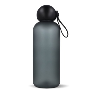 Bouteille d'eau Sagaform Tom 650 ml 10