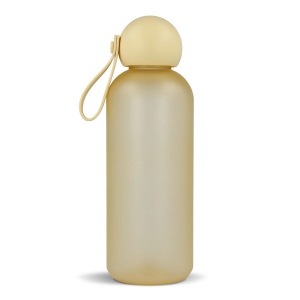 Bouteille d'eau Sagaform Tom 650 ml 23