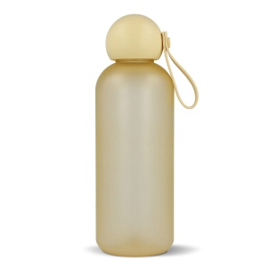 Bouteille d'eau Sagaform Tom 650 ml 24