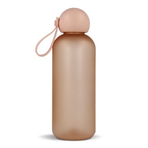 Bouteille d'eau Sagaform Tom 650 ml 31