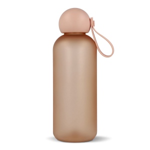 Bouteille d'eau Sagaform Tom 650 ml 33