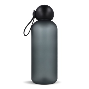 Bouteille d'eau Sagaform Tom 650 ml 12