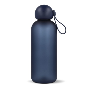 Bouteille d'eau Sagaform Tom 650 ml 13
