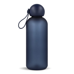 Bouteille d'eau Sagaform Tom 650 ml 15