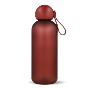 Bouteille d'eau Sagaform Tom 650 ml 16
