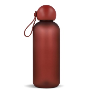 Bouteille d'eau Sagaform Tom 650 ml 17
