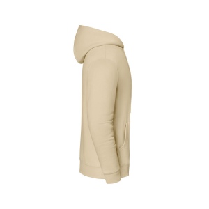 Sweat capuche 300 18