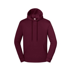 Sweat capuche 300 9