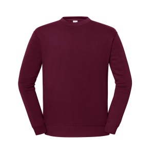 Sweat manches droites 250 9