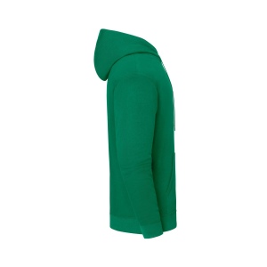Sweat capuche 250 16