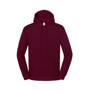 Sweat capuche 250 9