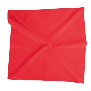 Bandana carré 14