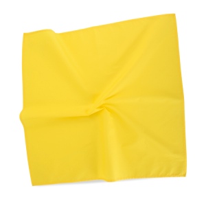 Bandana carré 10