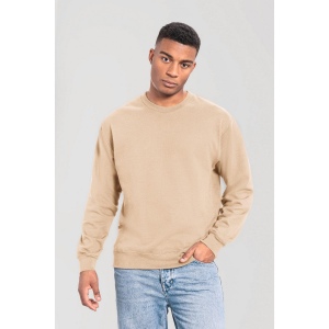 Sweat-shirt Iconic 250