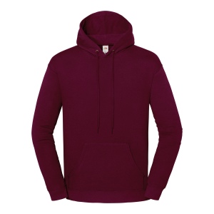 Sweat-shirt à capuche Iconic 250 4