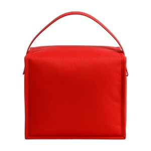 Sac isotherme en TNT R PET. Interieur argente 9