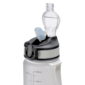 Bouteille transparente en PETG de 1 l 19