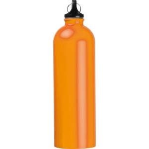Gourde en acier inoxydable "Ostrov" 44